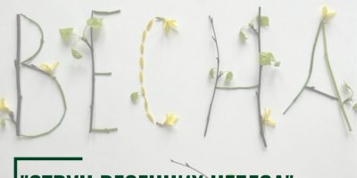 NksHw2sCwgV4ffAlHINZ-4BYYbR0l_1_76-jpUoQl4f4ZwIY8DdmitmQE2706pfc4jTnNP_FgiONlJQ6wic21FfE